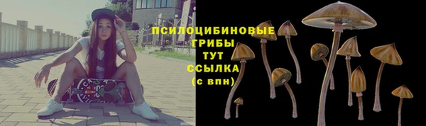 кокаин колумбия Новозыбков