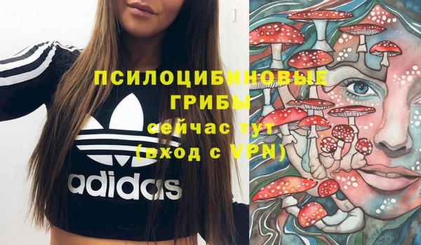 ALPHA-PVP Новодвинск